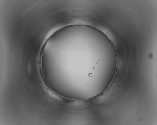 X0000091571094200708201140
