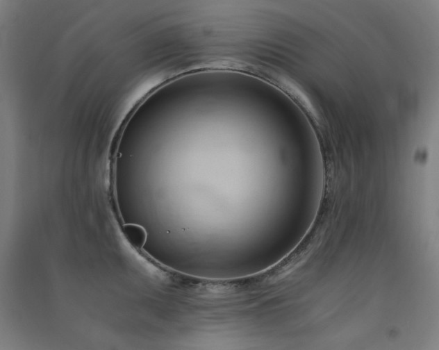 X0000091571095200708201139