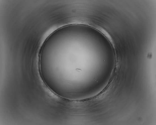 X0000091571096200708201139