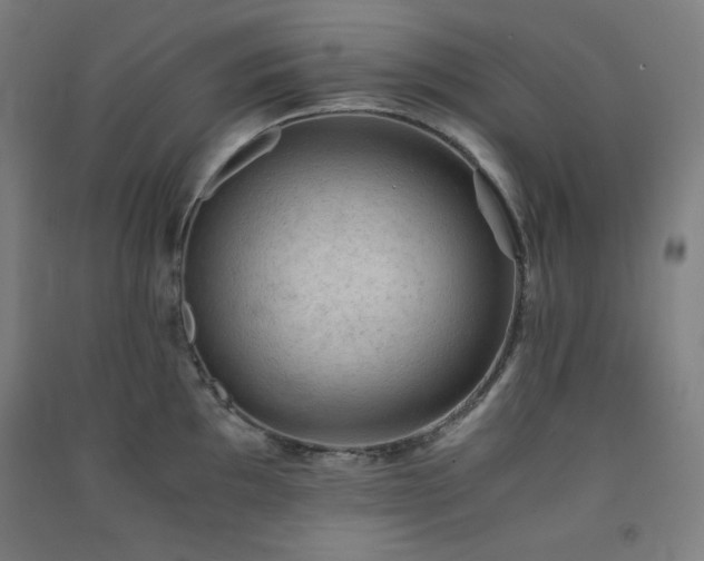X0000091571097200708201139