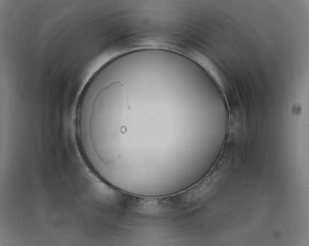 X0000091571098200708201139