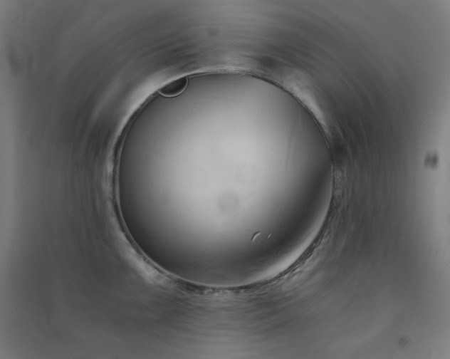 X0000091571099200708201139