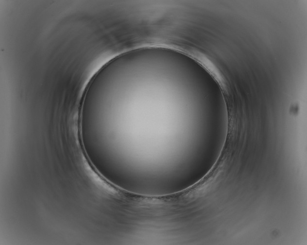 X0000091571100200708201139