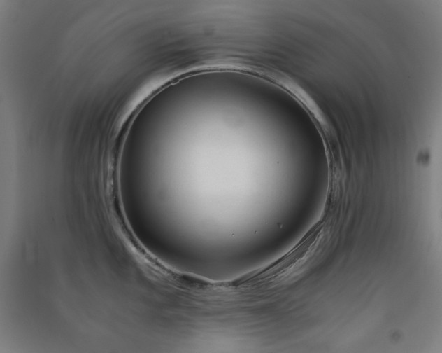 X0000091571101200708201139
