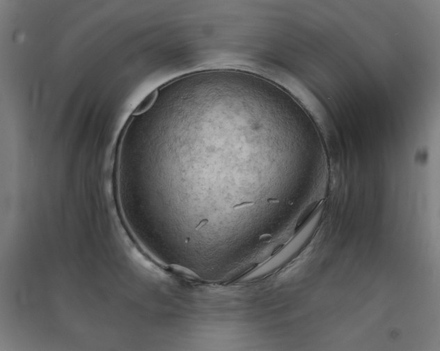 X0000091571102200708201139
