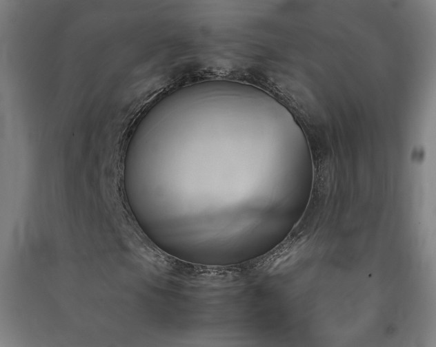 X0000091571105200708201139
