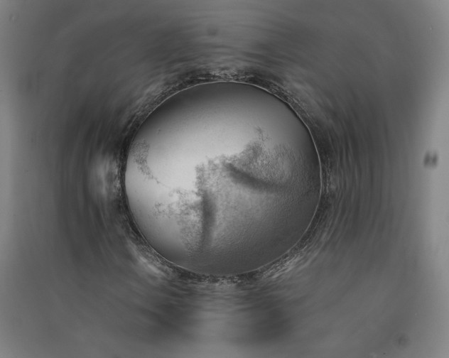 X0000091571106200708201139