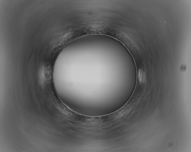 X0000091571107200708201139