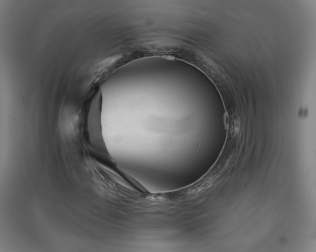 X0000091571108200708201139