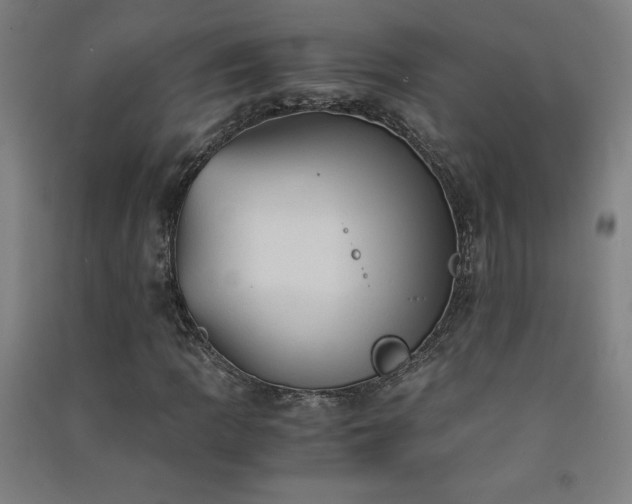 X0000091571109200708201139