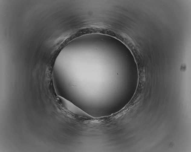 X0000091571110200708201139
