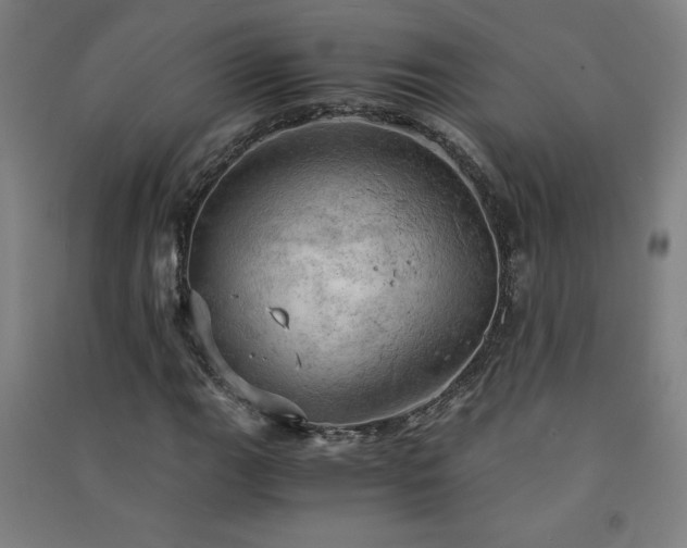 X0000091571111200708201139
