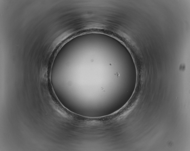 X0000091571113200708201139