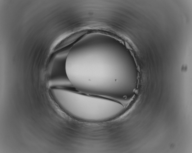 X0000091571114200708201139