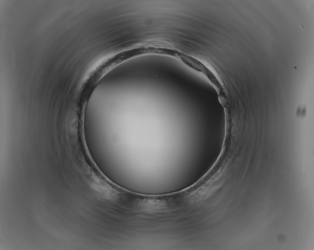 X0000091571115200708201139