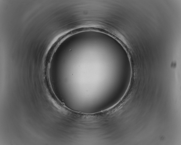 X0000091571116200708201139