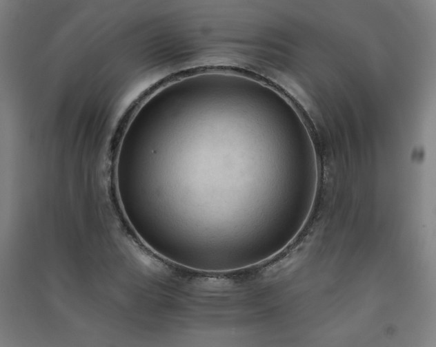 X0000091571119200708201139