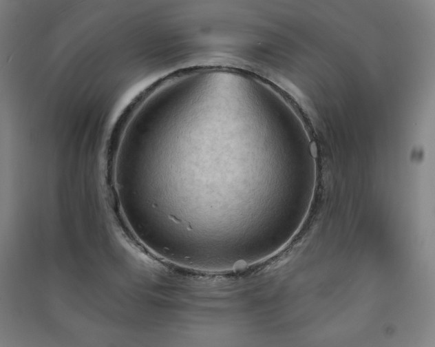 X0000091571120200708201139