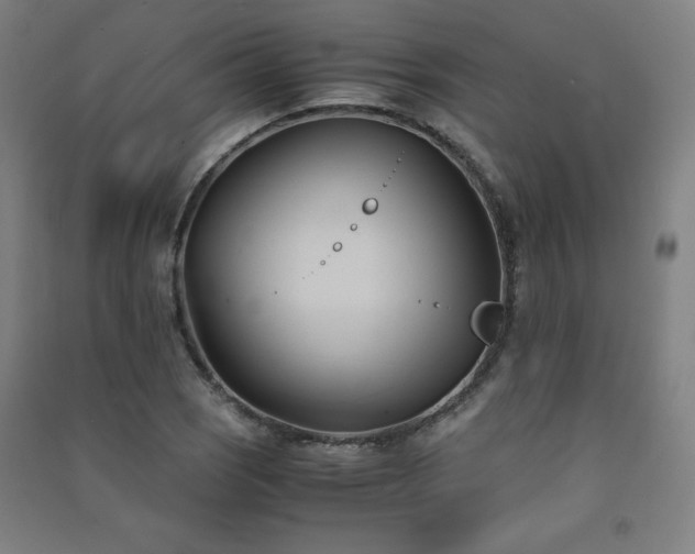 X0000091571121200708201139