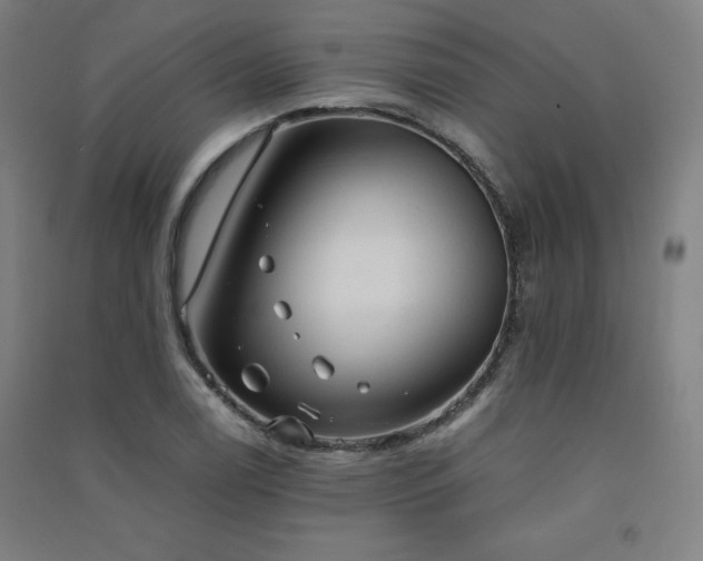X0000091571122200708201139