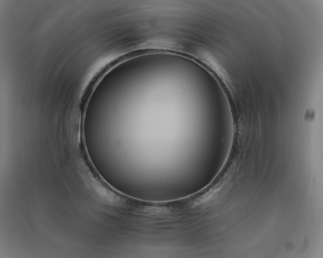 X0000091571123200708201139