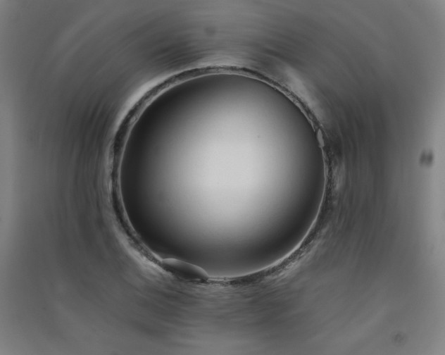 X0000091571124200708201139