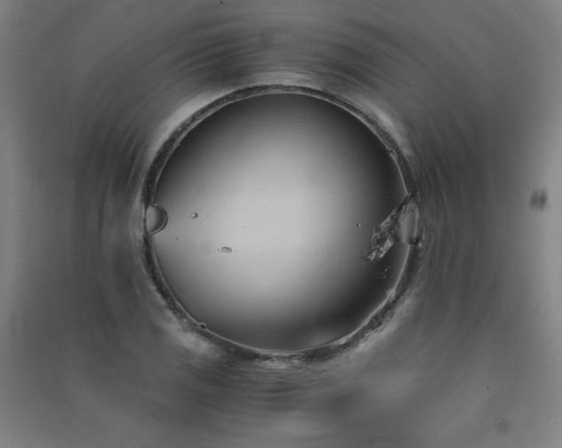 X0000091571125200708201139