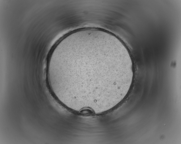 X0000091571126200708201139