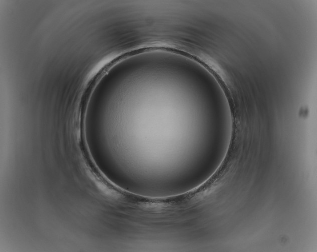 X0000091571127200708201139