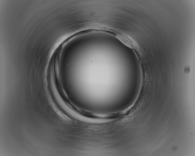 X0000091571128200708201139