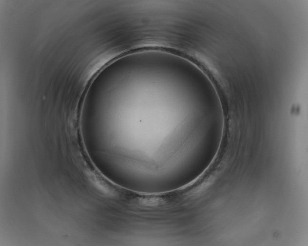 X0000091571129200708201139