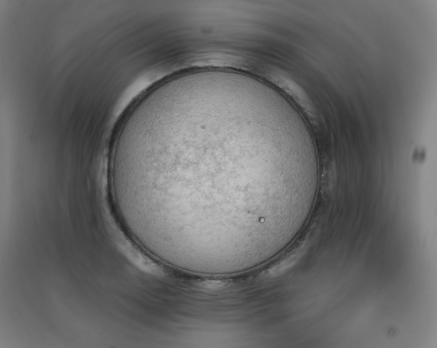 X0000091571130200708201139