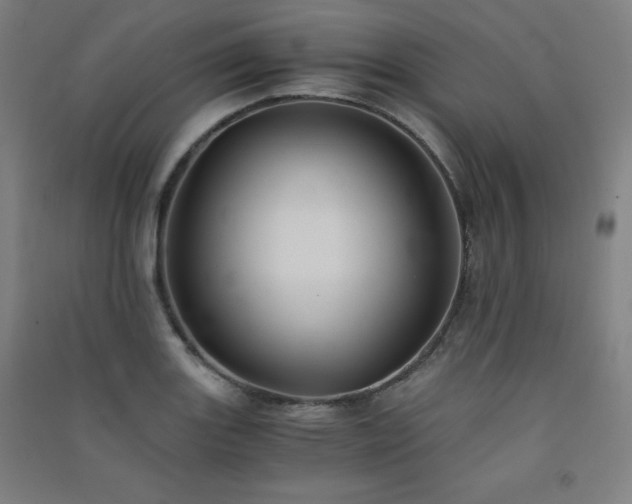 X0000091571131200708201139