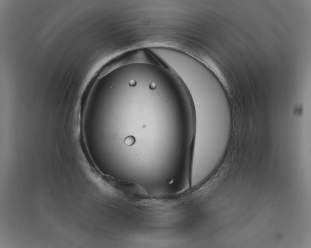 X0000091571132200708201139