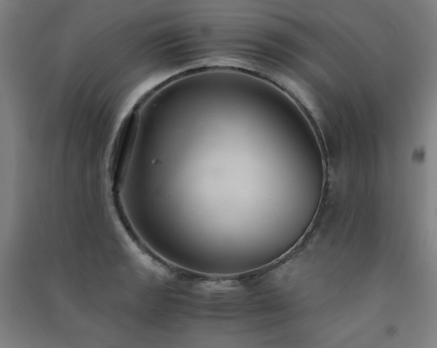 X0000091571133200708201139