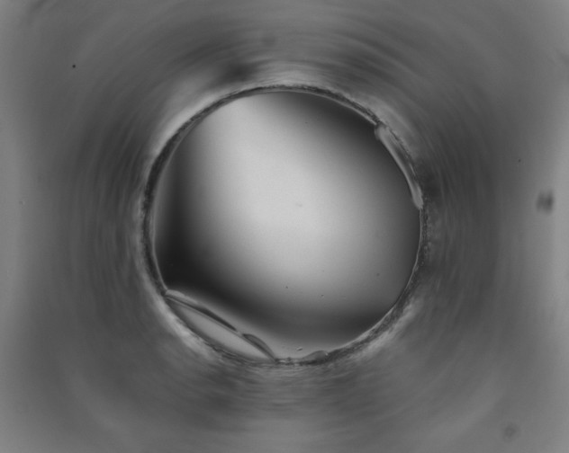 X0000091571134200708201139