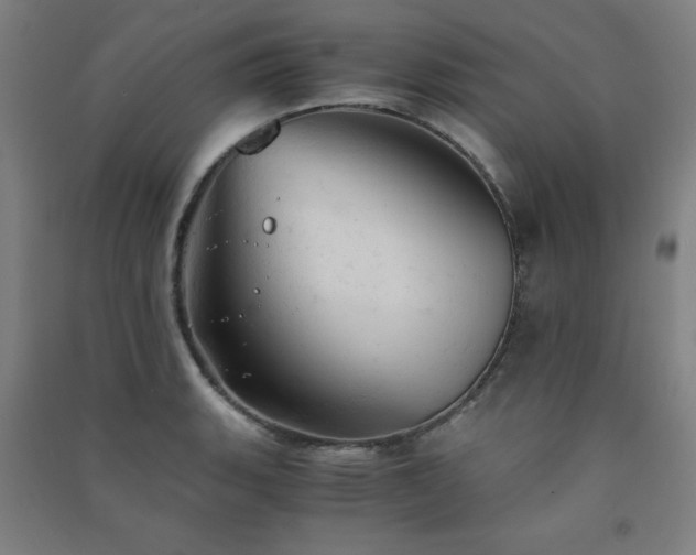 X0000091571135200708201139