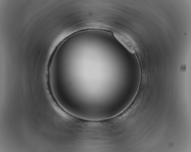 X0000091571136200708201139