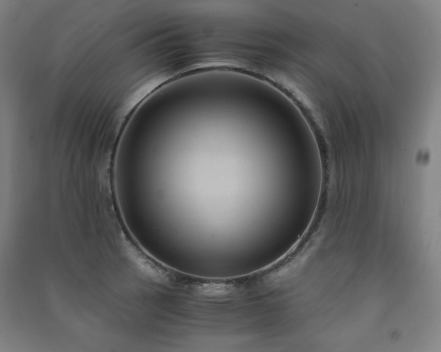 X0000091571137200708201139