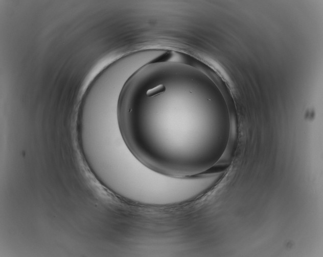 X0000091571138200708201139