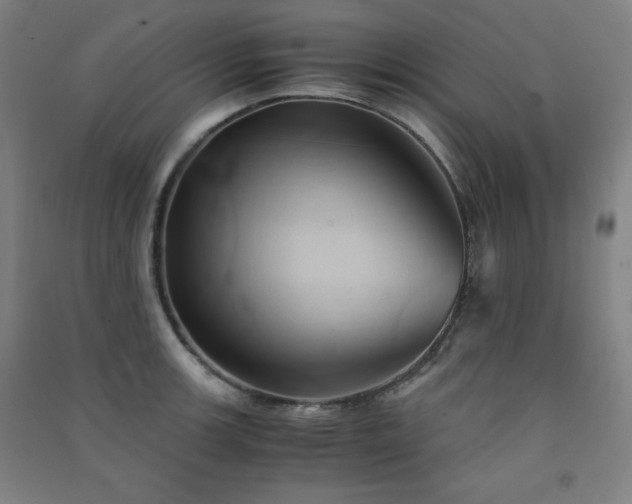 X0000091571139200708201139