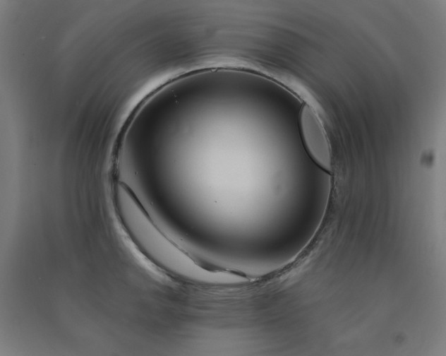 X0000091571142200708201139