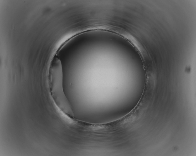 X0000091571143200708201139