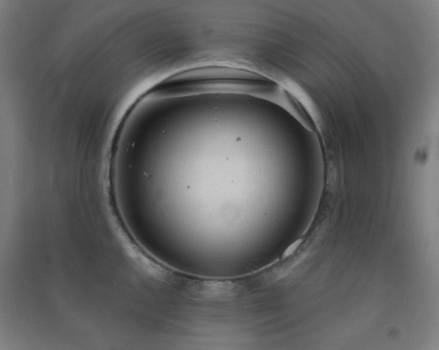 X0000091571144200708201139