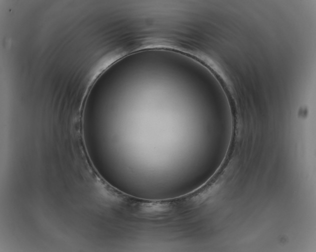 X0000091571145200708201139