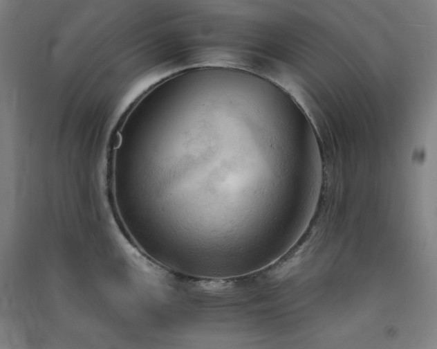X0000091571147200708201139