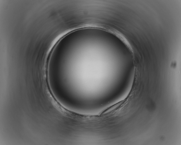 X0000091571148200708201139