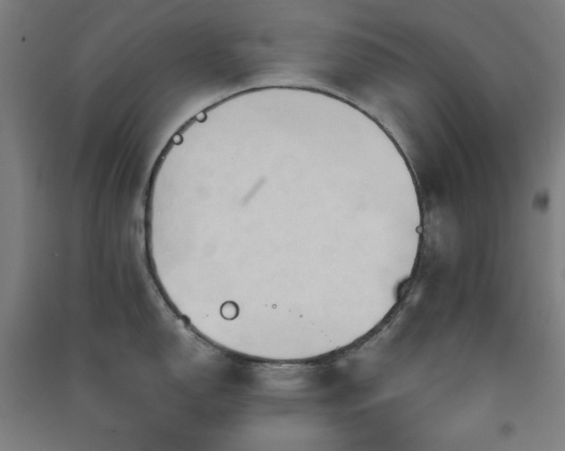 X0000091571150200708201139