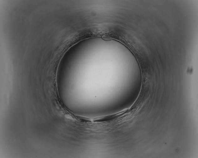 X0000091571153200708201139