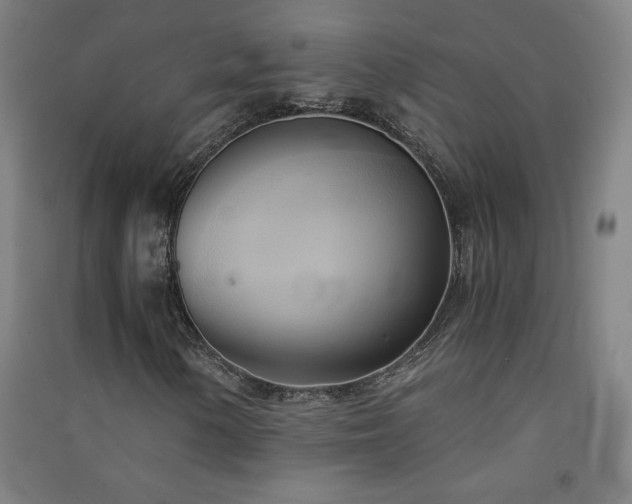 X0000091571154200708201139